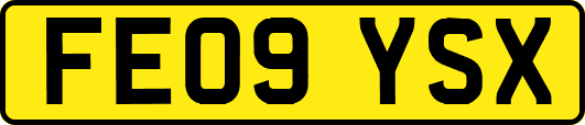 FE09YSX
