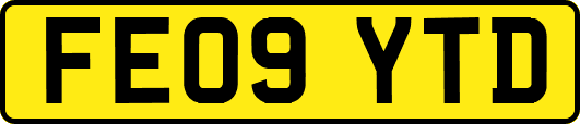 FE09YTD