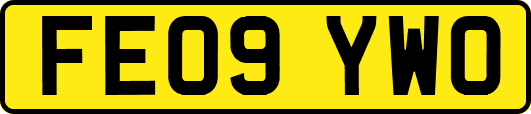FE09YWO