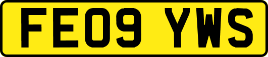 FE09YWS