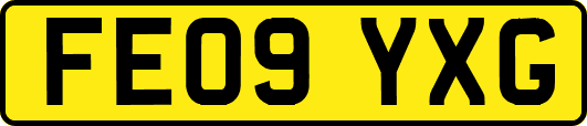FE09YXG