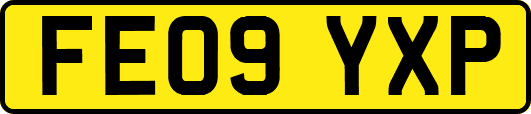 FE09YXP