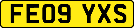 FE09YXS