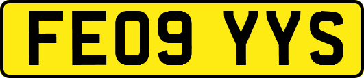 FE09YYS