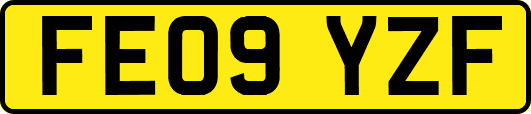 FE09YZF