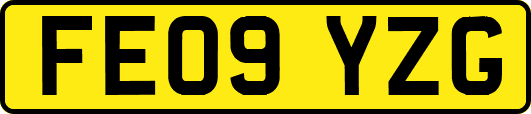 FE09YZG