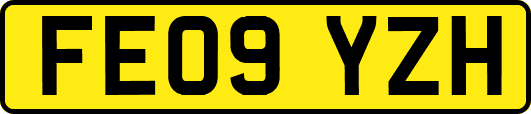 FE09YZH