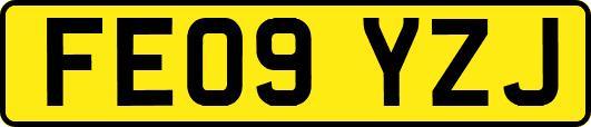 FE09YZJ