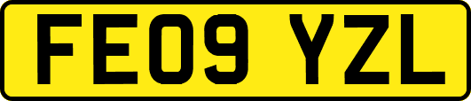 FE09YZL