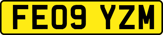FE09YZM