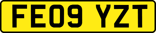 FE09YZT
