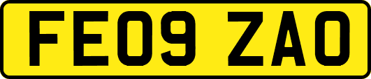 FE09ZAO