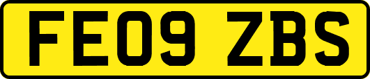 FE09ZBS