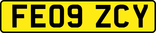 FE09ZCY
