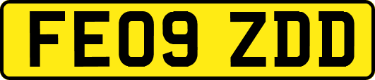 FE09ZDD