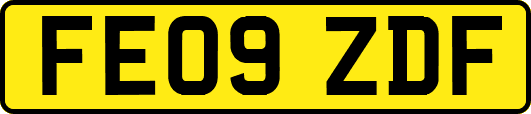 FE09ZDF
