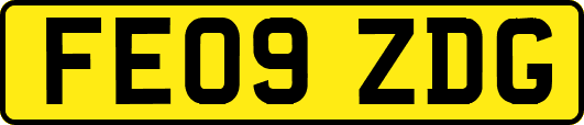 FE09ZDG
