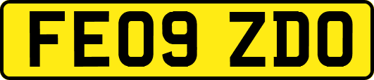 FE09ZDO