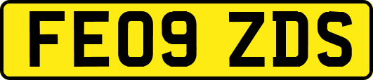 FE09ZDS