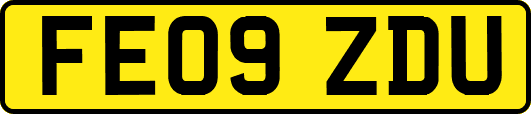 FE09ZDU