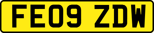 FE09ZDW