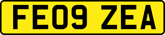 FE09ZEA