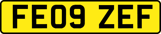 FE09ZEF