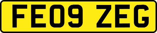 FE09ZEG
