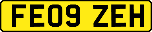 FE09ZEH