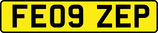 FE09ZEP