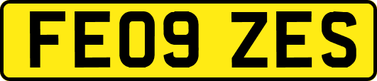 FE09ZES