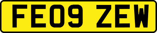 FE09ZEW