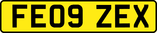 FE09ZEX