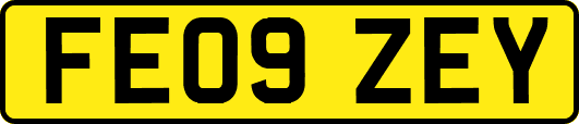 FE09ZEY