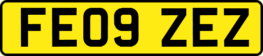 FE09ZEZ