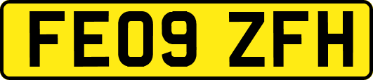 FE09ZFH
