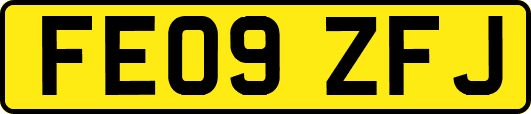 FE09ZFJ