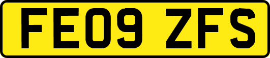FE09ZFS