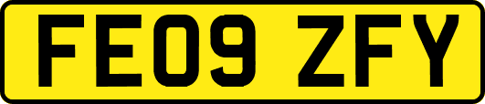 FE09ZFY