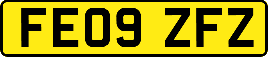 FE09ZFZ