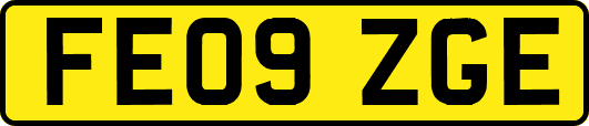 FE09ZGE