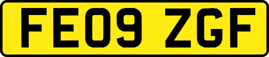 FE09ZGF