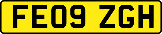 FE09ZGH
