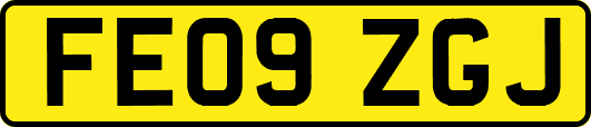 FE09ZGJ