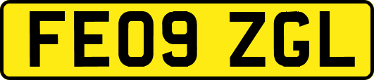 FE09ZGL