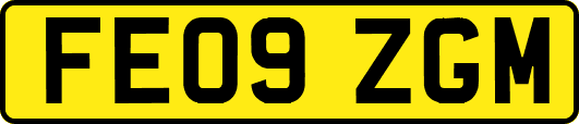 FE09ZGM