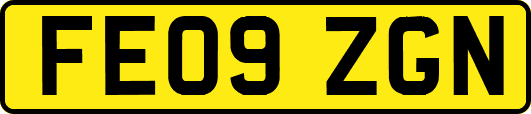 FE09ZGN