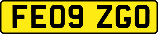 FE09ZGO