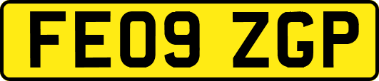 FE09ZGP