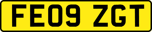 FE09ZGT